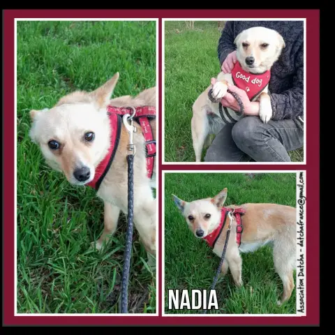 Nadia