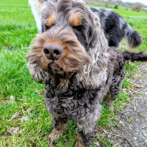 Usko photo 3