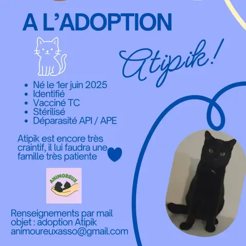 Atipik