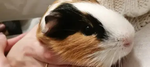 Caramel