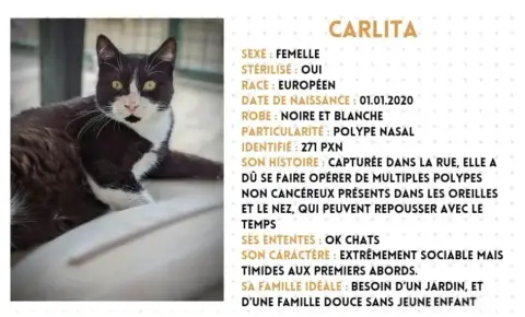 Carlita