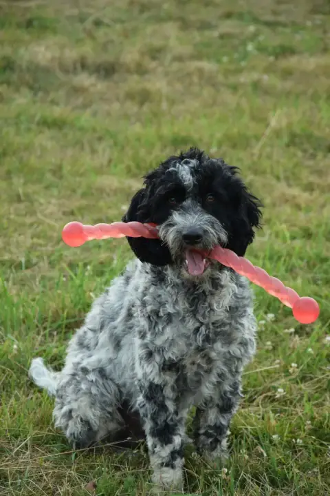 Dustin photo 2