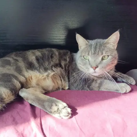 Max