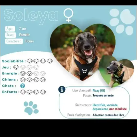 Soleya
