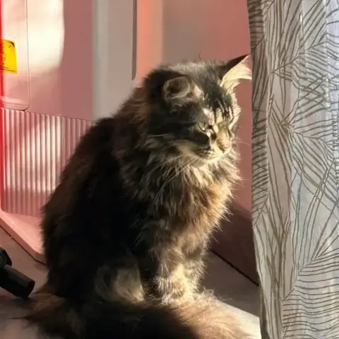 Freya photo 2