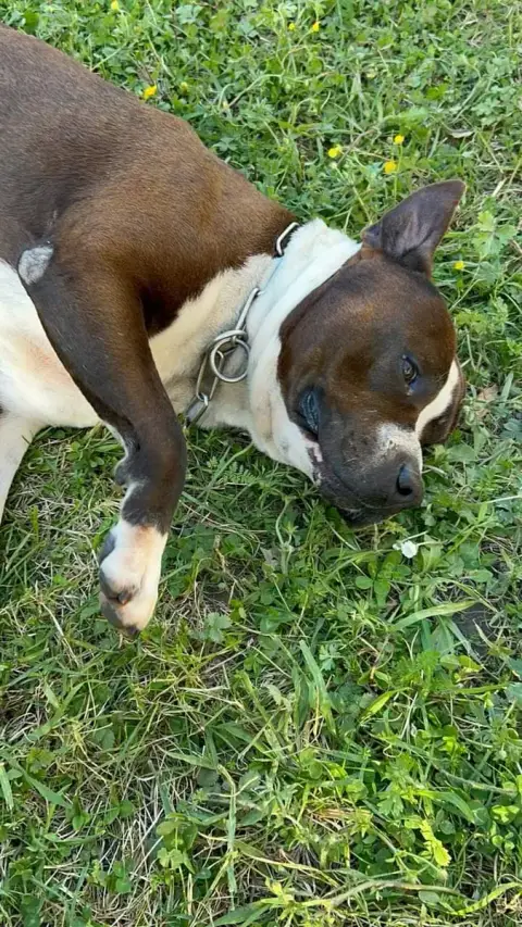 Murphy photo 2