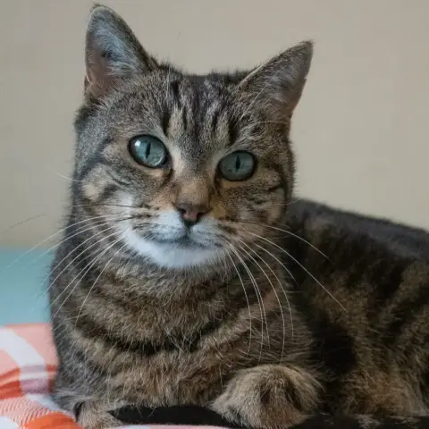 Lili photo 3