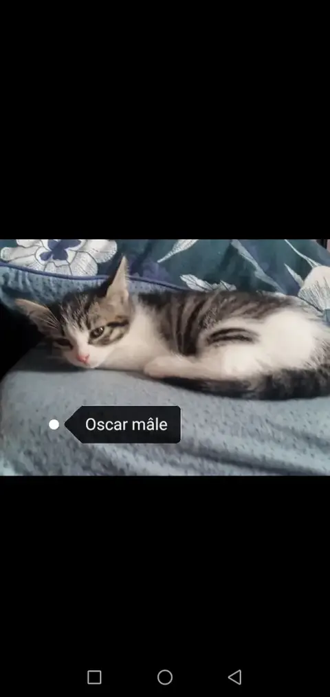 Oscar