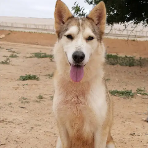 Yakira photo 3