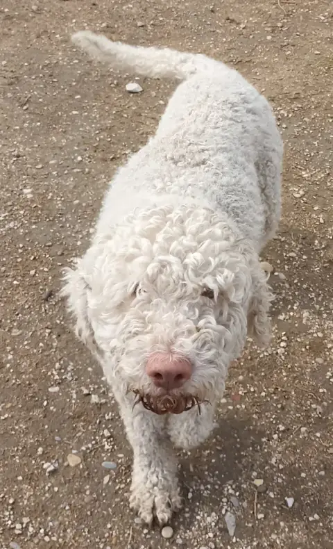 Oscar photo 2