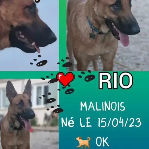 Rio