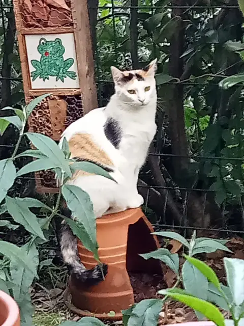 Polly photo 3