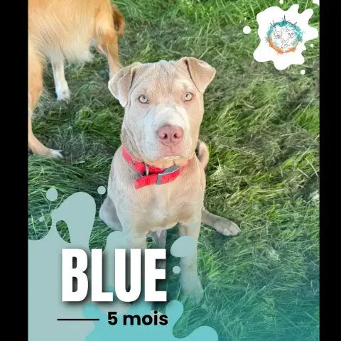 Blue