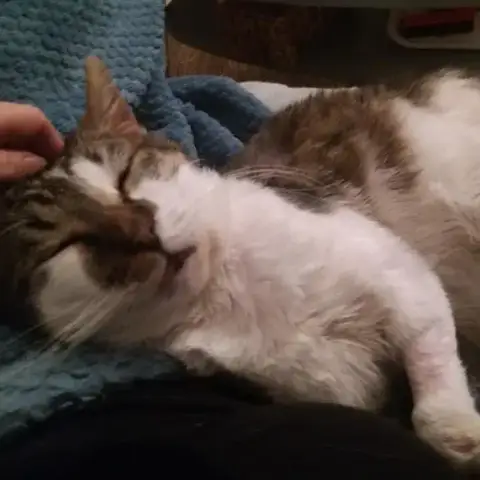 Mushu