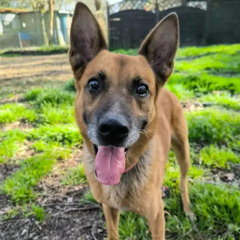 Leytho photo 3