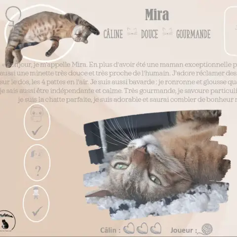 Mira
