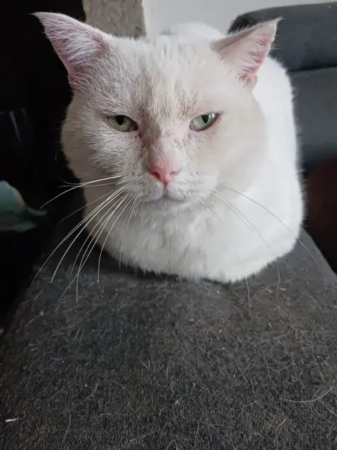 Casper