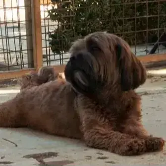 Charles photo 2