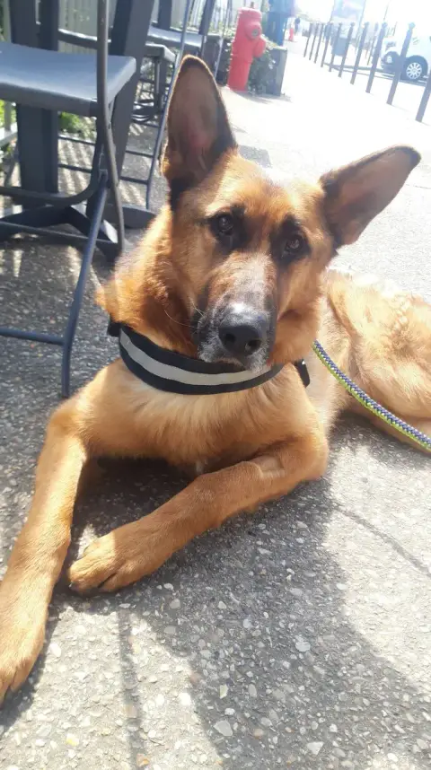 Baxter