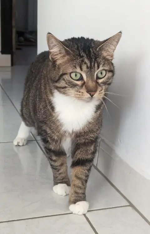 Oscaro photo 3