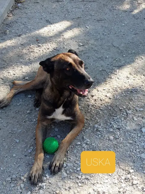 Uska