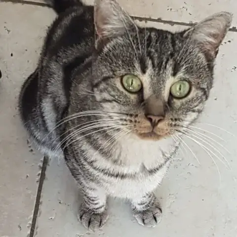Bébé