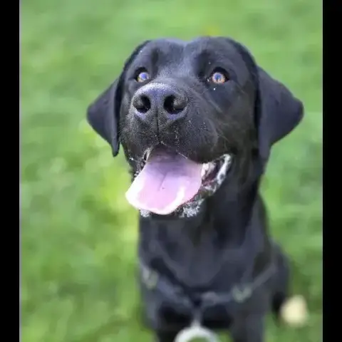 Tom