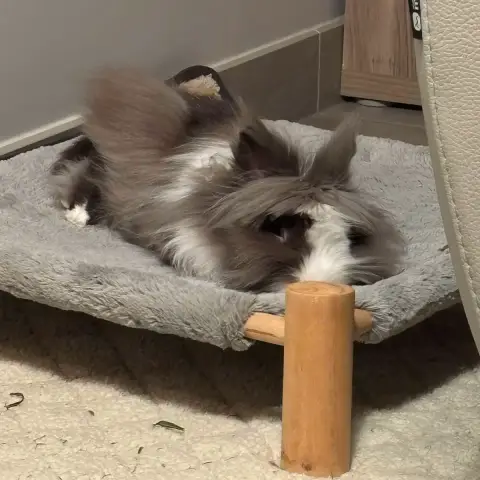 Rocket photo 3