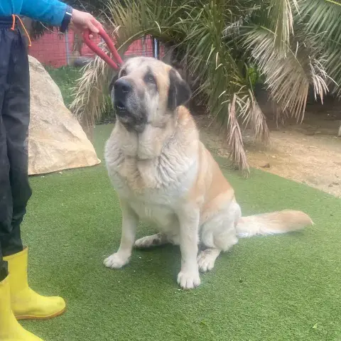 Zeus