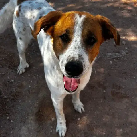 Bruce photo 2