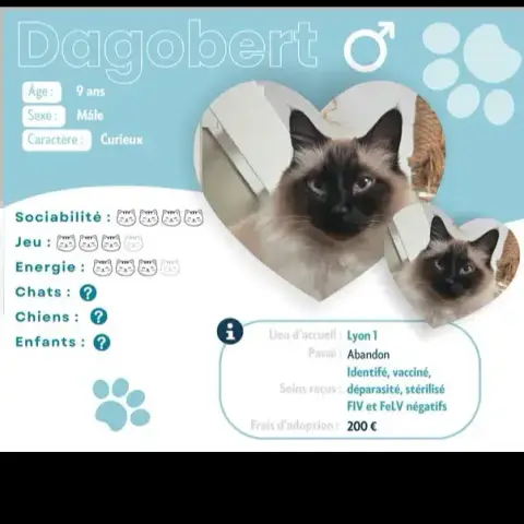 Dagobert