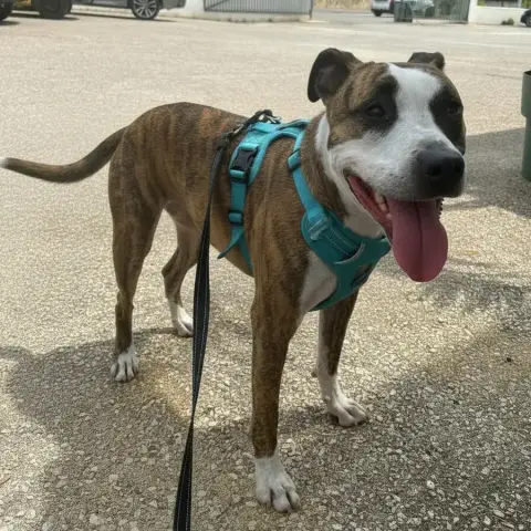 Maya photo 2