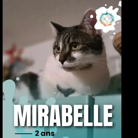 Mirabelle