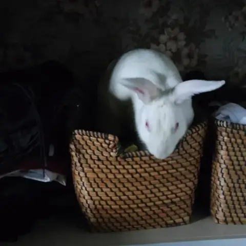 Oméga photo 3