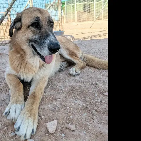 Kika