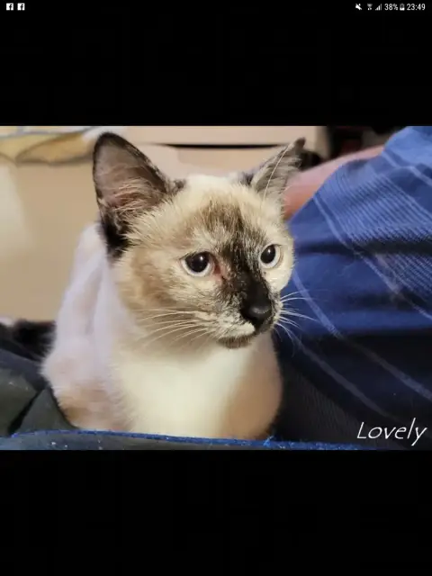 Lovely photo 3