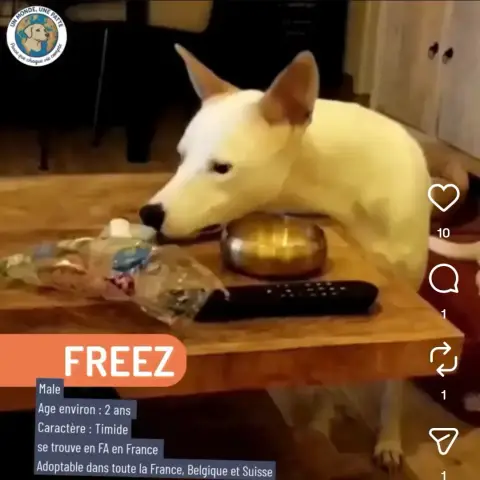 Freez photo 3