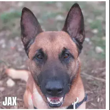 Jax