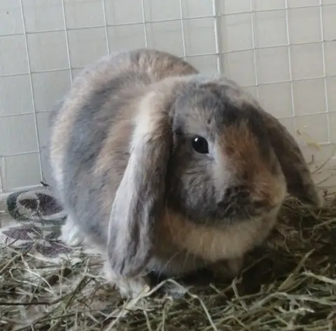 Hermione photo 2