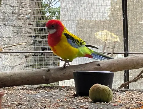Perth