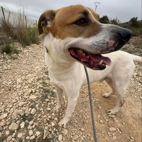 Zeus photo 3