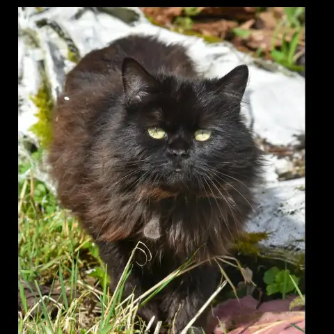 Kiki photo 3