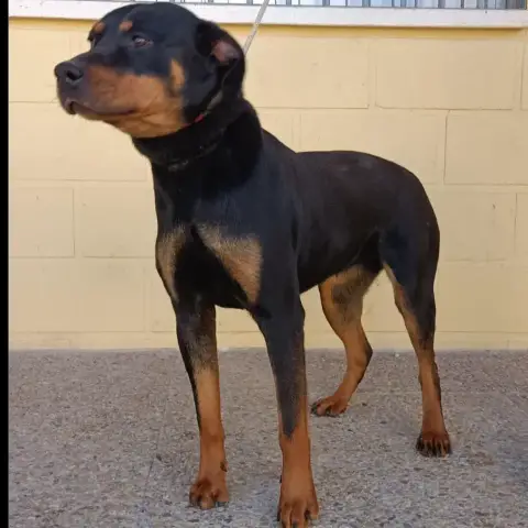 Zoe Ii photo 3