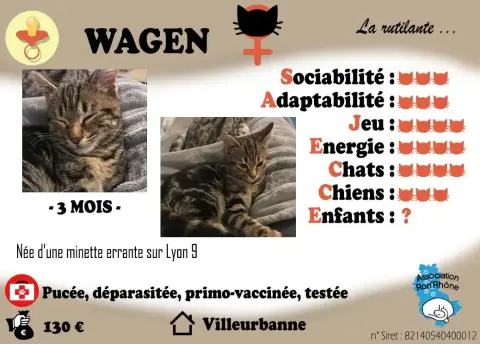 Wagen