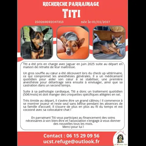 Titi