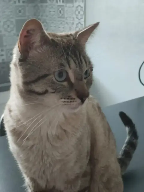 Oskar