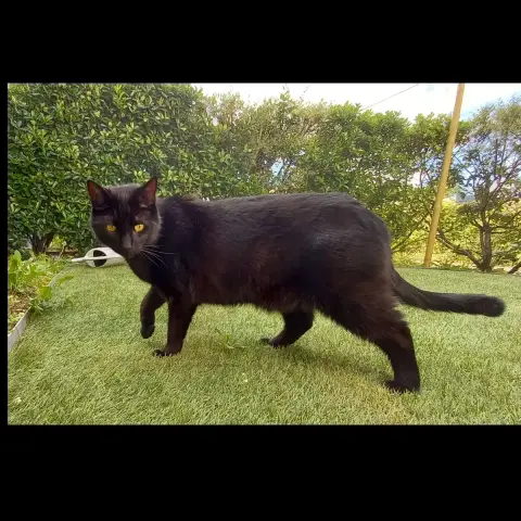 O'Malley photo 3
