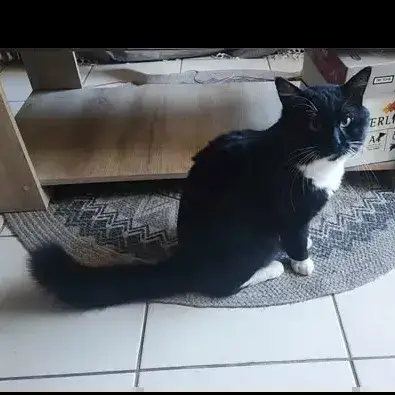 Félix photo 3