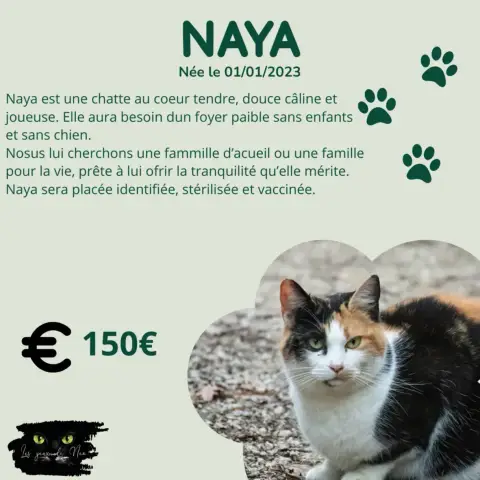 Naya