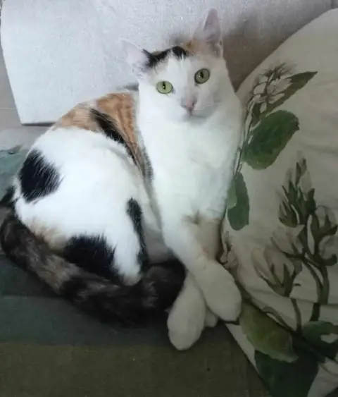 Polly photo 2